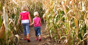 5-admission-to-corn-maze-1223561-regular