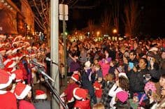 tree lighting