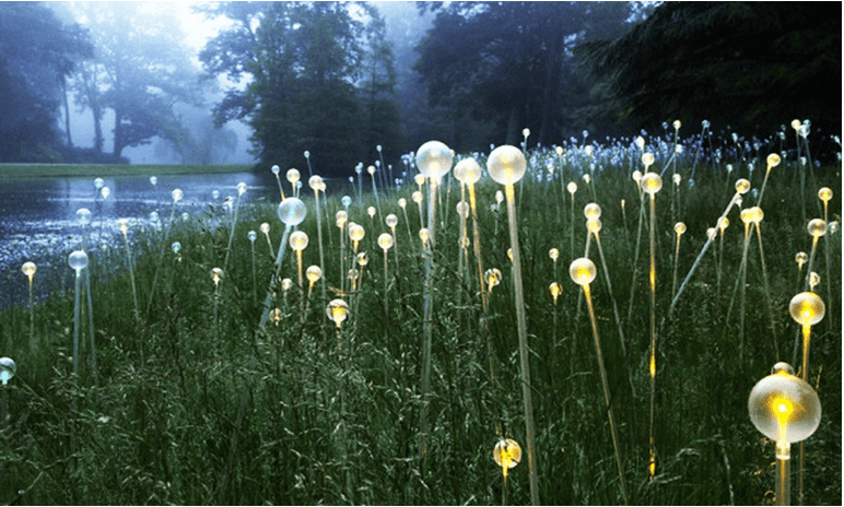 Discount coupons for atlanta botanical gardens