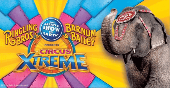 circus xtreme ringling