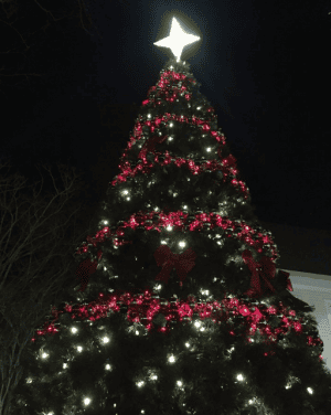 vinings-jubilee-tree-lighting-fb