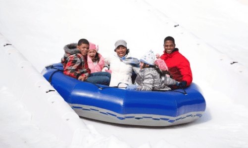 Stone mountain discount coupons