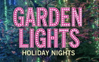 garden lights, holiday nights discounts
