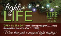 lights of life