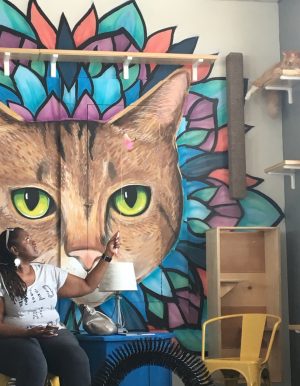 Coffee + Cats = Win: Java Cats Cafe in Atlanta & Marietta ...