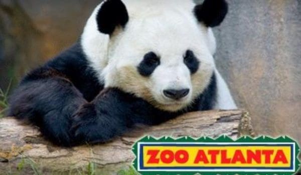 Zoo Atlanta