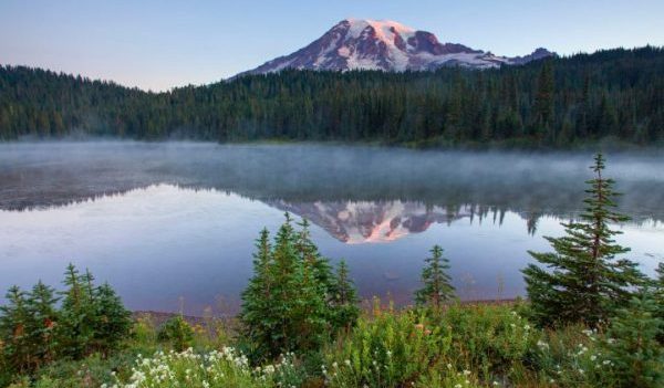 NATIONAL PARKS FREE DAYS visual data 6