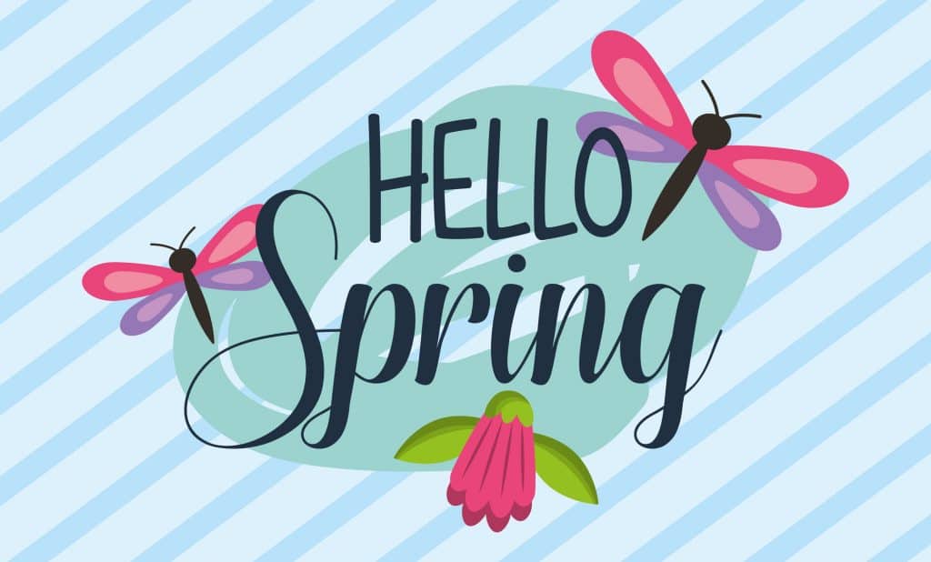 hello spring dragonflies flower striped background banner vector illustration