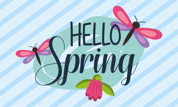 hello spring dragonflies flower striped background banner vector illustration