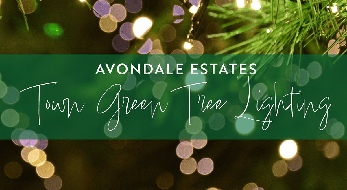 Avondale Estates hosts a tree lighting celebration on the Town Green on